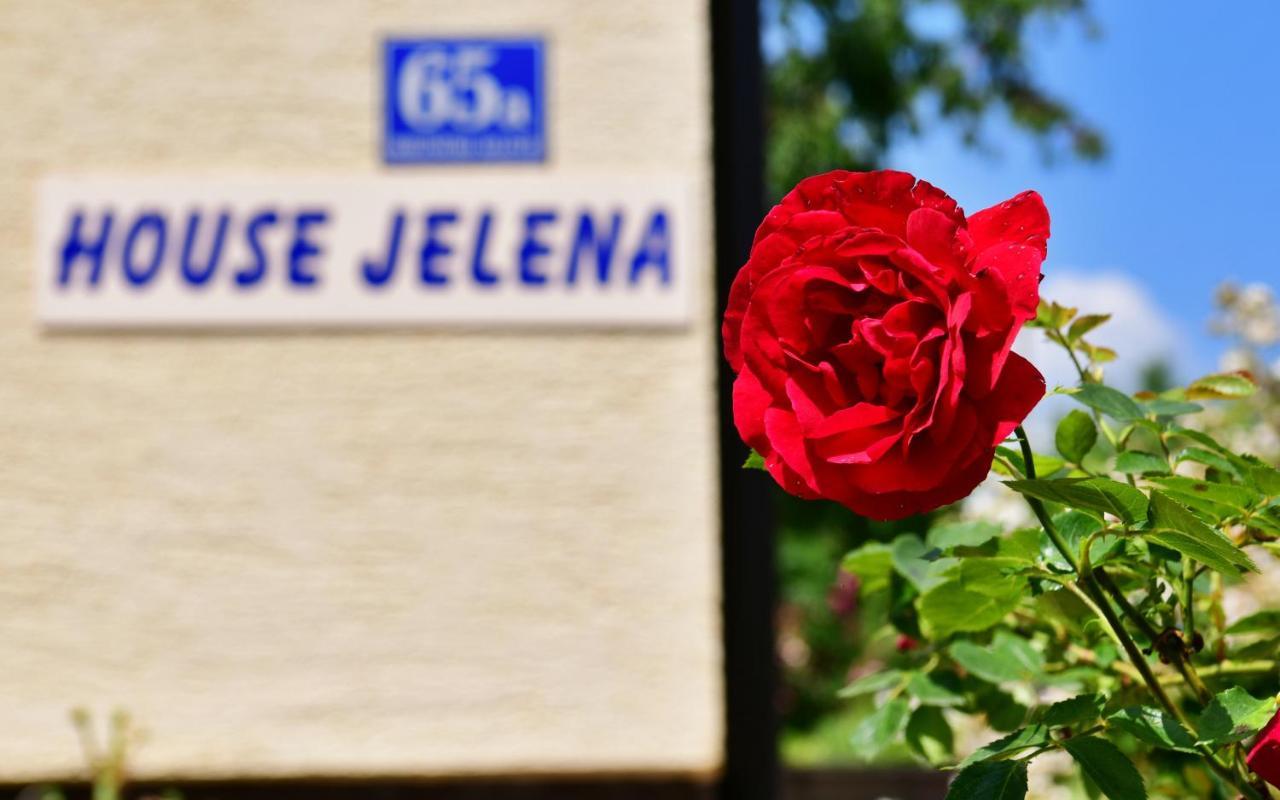 House Jelena Apartment Seliste Dreznicko Exterior foto