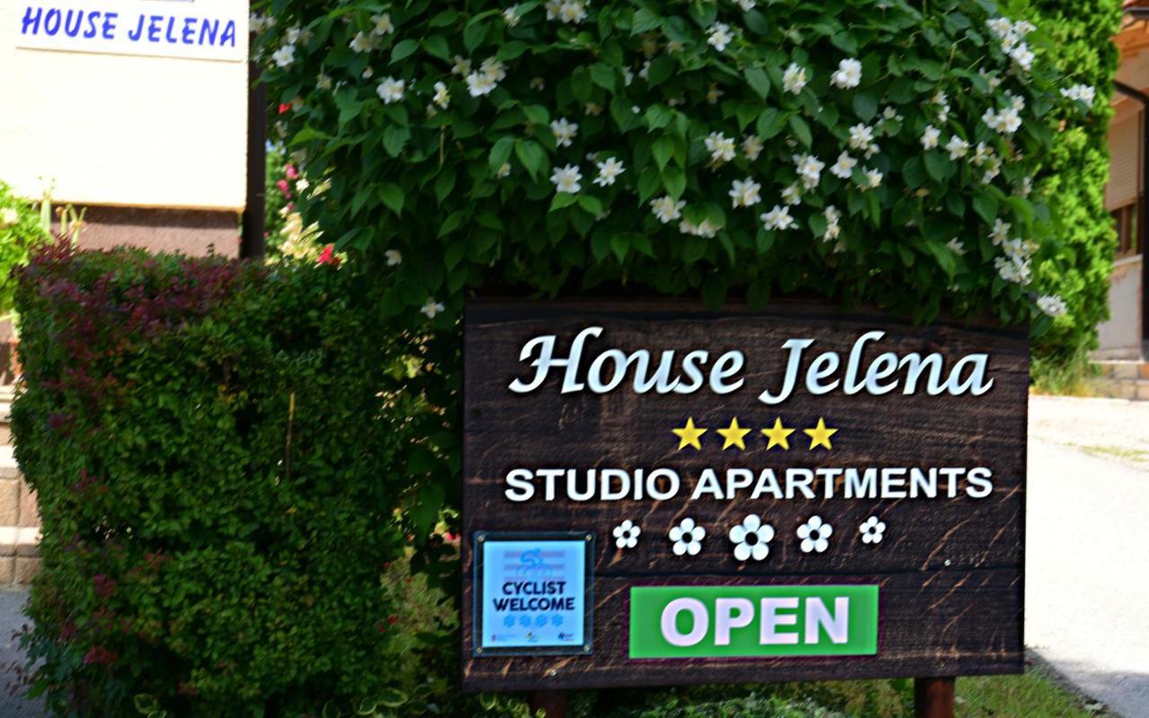 House Jelena Apartment Seliste Dreznicko Exterior foto