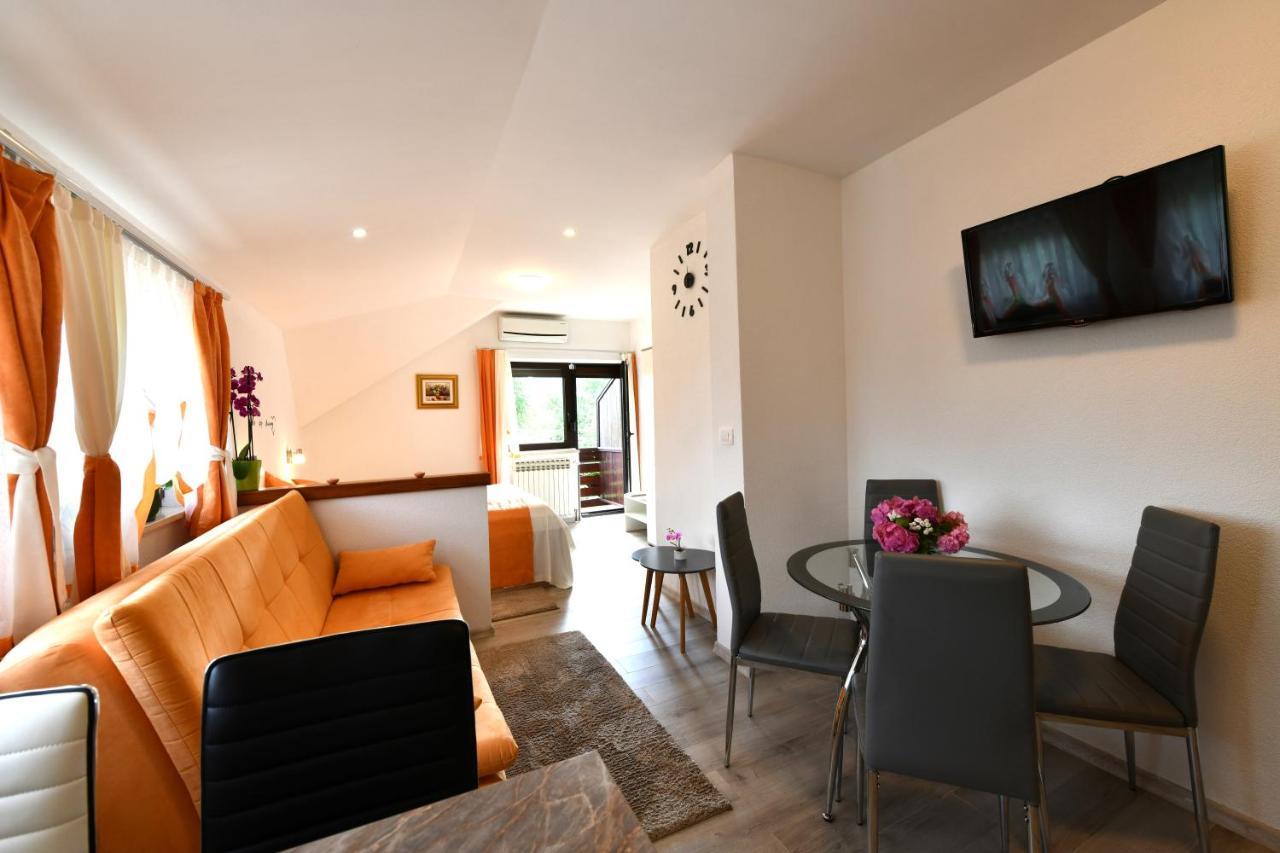 House Jelena Apartment Seliste Dreznicko Exterior foto