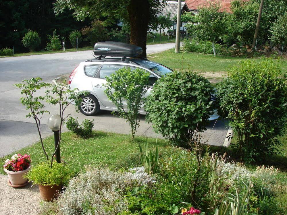 House Jelena Apartment Seliste Dreznicko Exterior foto